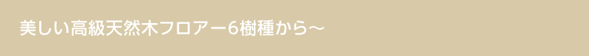 美しい天然木フロアー　6樹種から