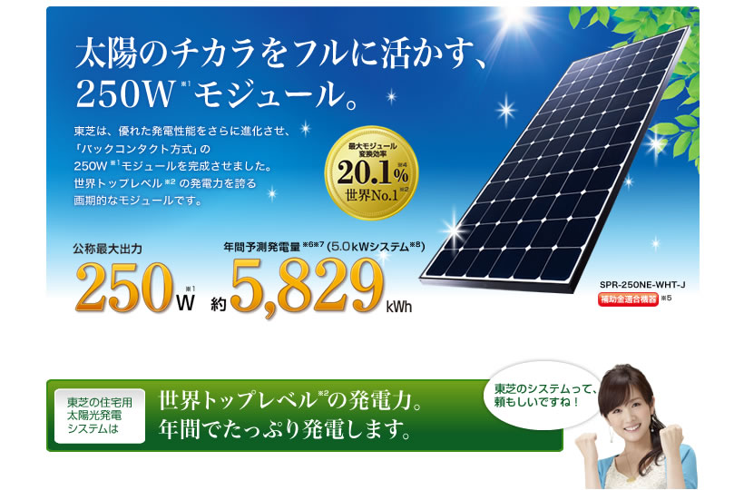 太陽の力をフルに活かす、250Wモジュール